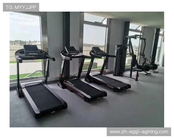 室内健身器材采购标准及选购注意事项详解